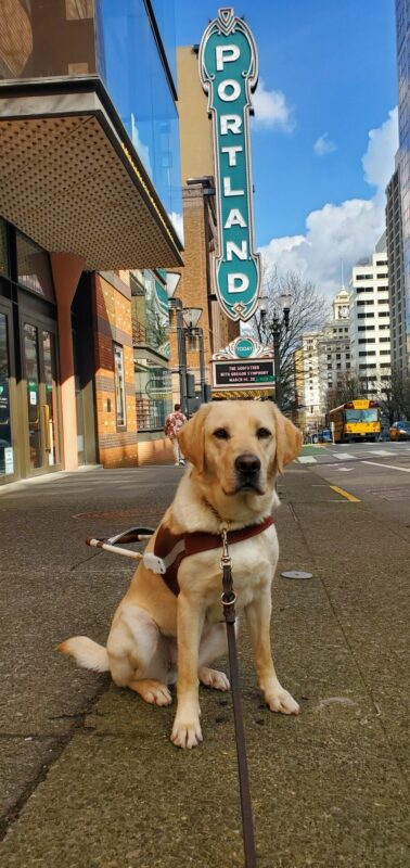 Katara is sitting on a sidewalk in City Center Portland with a tall light-up sign behind her that reads, 