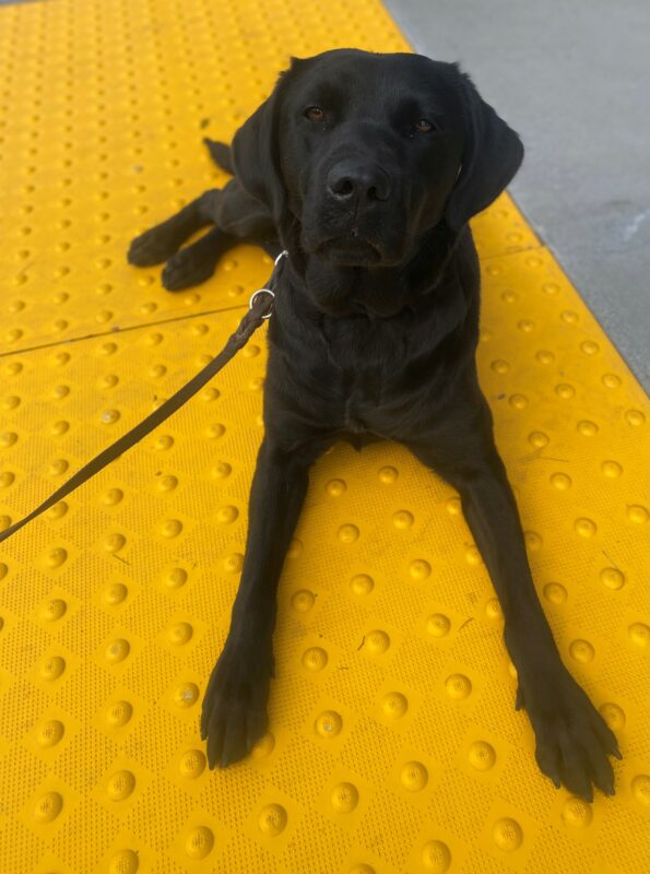 Natalia lays on bright yellow truncated domes. She is sporting a curious look on her face.
