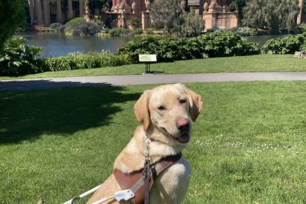 Kelly sits in harness in front of the Palace of Fine Arts building.