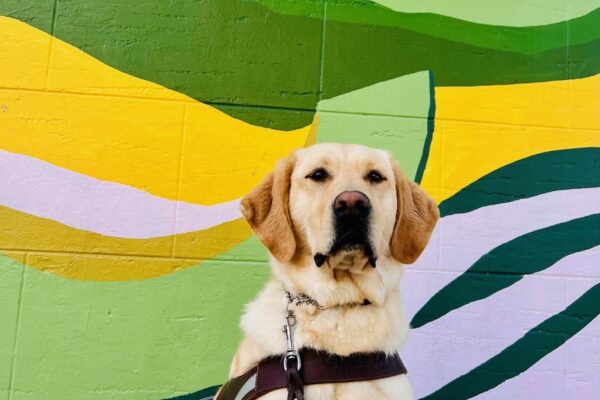 Leah sits in harness in front of an avocado mural in San Francisco.