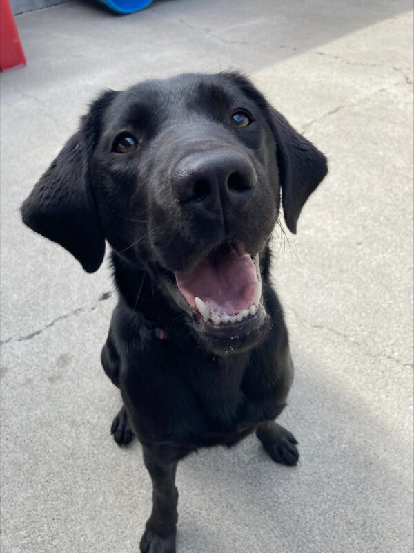Valdine sits in community run with a smile on her face as she looks directly up at the camera.