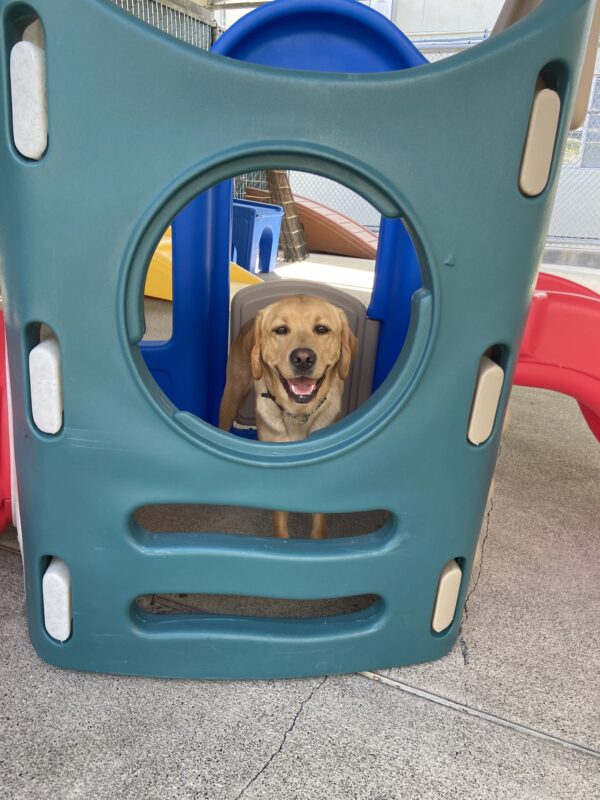 Jada smiling inside a colorful play house in community run ready to jump out!