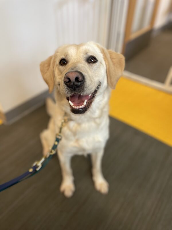 <p>Janelle sits in front of an office door, posing for the camera. Her mouth is open wide with a big, relaxed smile!</p>