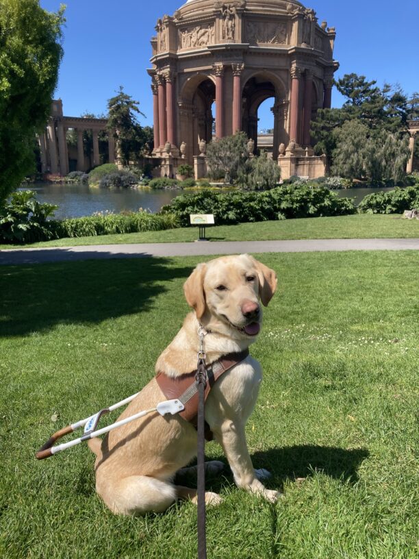 Kelly sits in harness in front of the Palace of Fine Arts building.