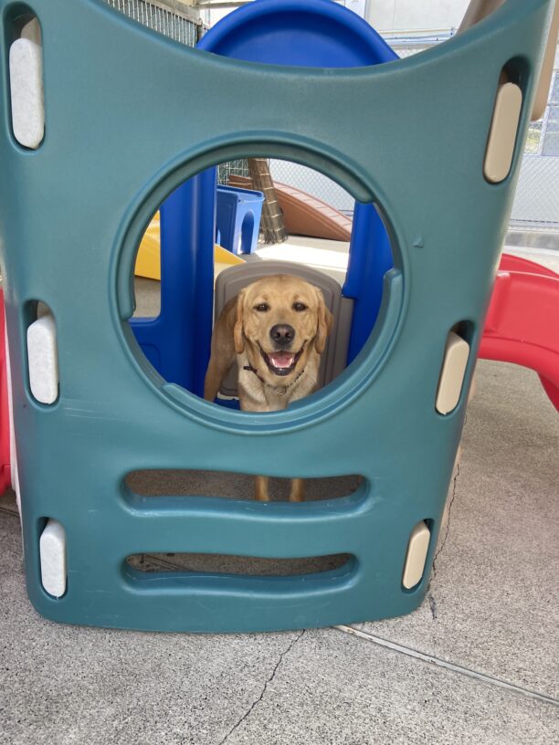 Jada smiling inside a colorful play house in community run ready to jump out!