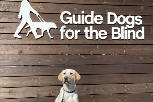 Rhonda poses in front of a wooden sign bearing Guide Dogs for the Blind's logo. She is sitting looking off camera.