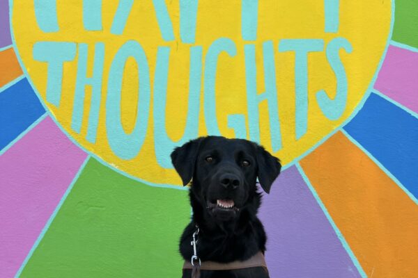Roanna sits in a GDB harness with her mouth slightly open giving the appearance of a smile. Her light brown eyes are looking directly into the camera. In the background is a brightly painted mural with the words "Think Happy Thoughts".