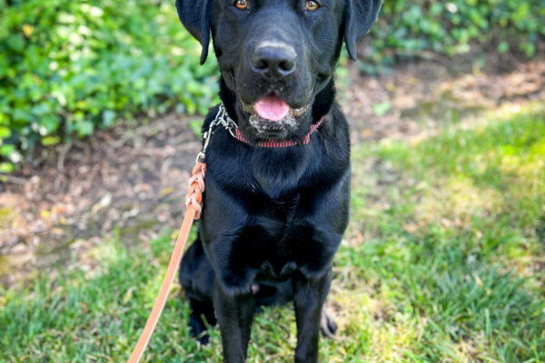 Bruce sits on the shady grass on campus smiling at the camera