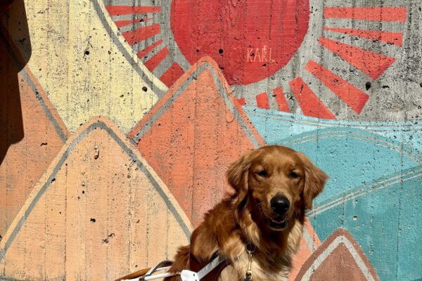 Pacino is sitting in harness looking at the camera. Behind him is a bright mural with a red sun and colorful mountains.
