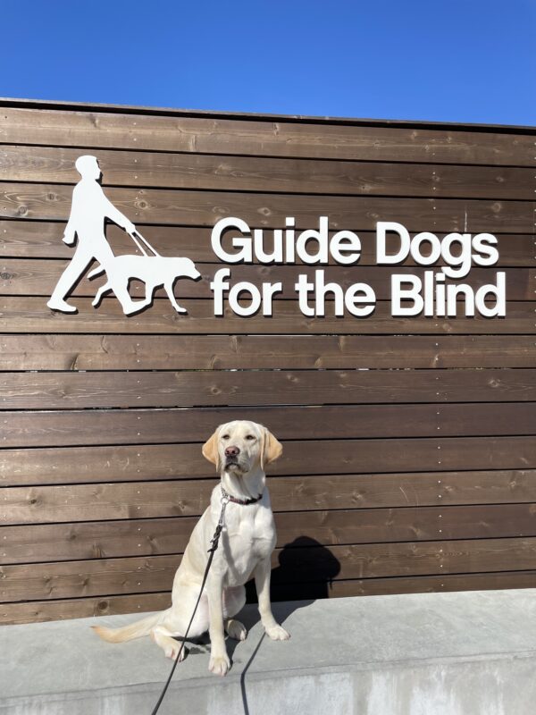 Rhonda poses in front of a wooden sign bearing Guide Dogs for the Blind's logo. She is sitting looking off camera.