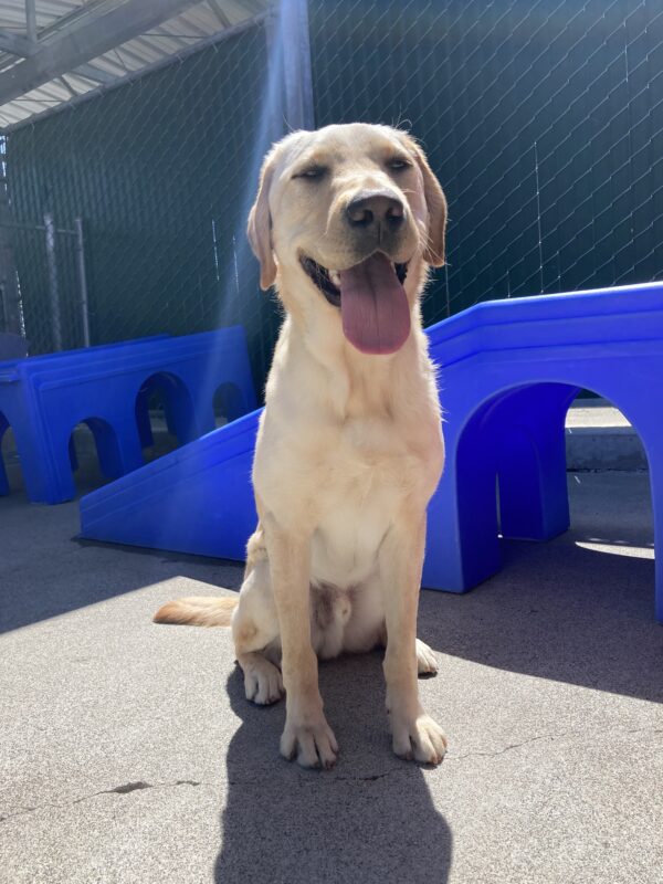 Cole sits in a community run area with a ray of sunshine beaming upon him. He is surrounded by colorful play structures.
