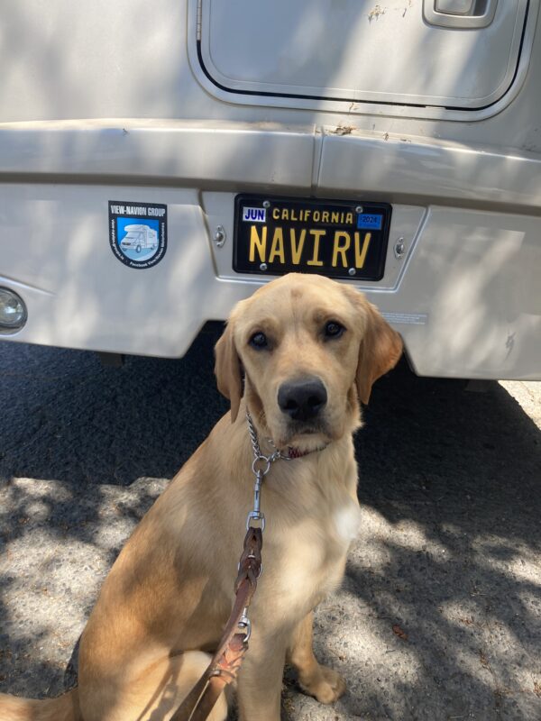 Navi sits in front of an RV that was found along a route with the license plate that reads “NAVI RV”.