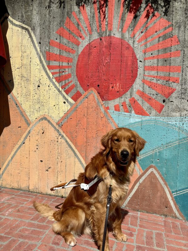 Pacino is sitting in harness looking at the camera. Behind him is a bright mural with a red sun and colorful mountains.