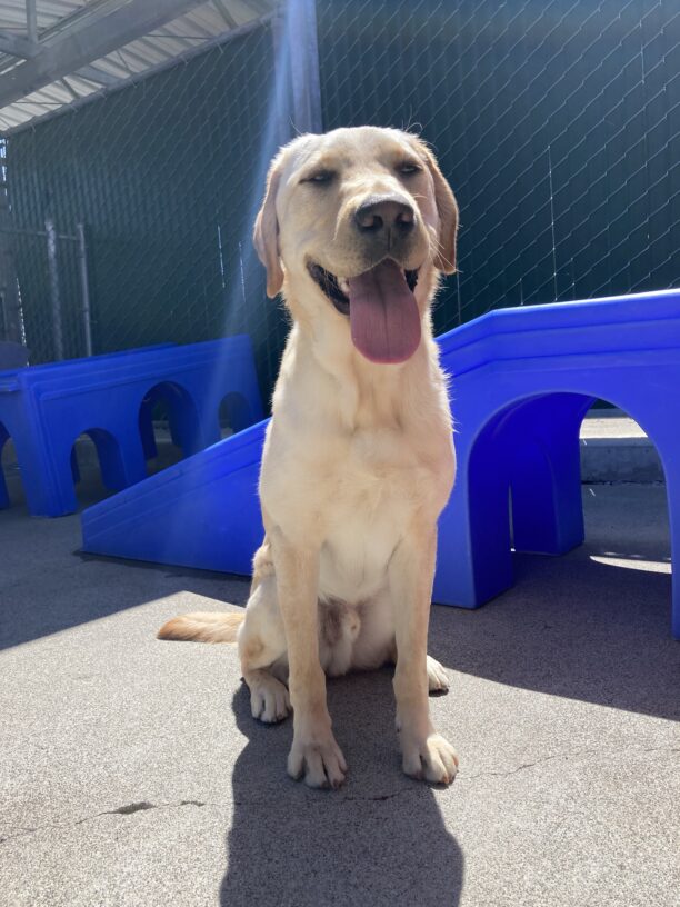 Cole sits in a community run area with a ray of sunshine beaming upon him. He is surrounded by colorful play structures.