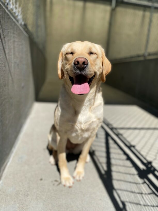 Joan sits facing the camera. Her mouth is open in a smile with her tongue out. Her eyes are closed. The sun is shining brightly on her.