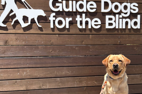 Julio sits smiling on the cement wall in front of the wooden GDB sign on campus, with blue sky peeking above
