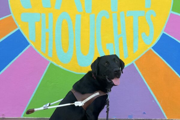Winner is wearing his harness and sitting in front of a colorful mural that says "happy thoughts". He is looking at the camera with his mouth open in a happy smile.