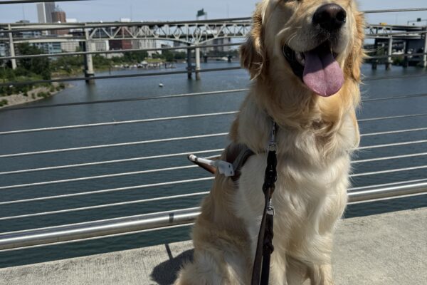 Gilmore sits in harness, smiling broadly at the camera. He is on a pedestrian bridge that spans the Willamette River; in the background are other bridges and buildings that line the river.
