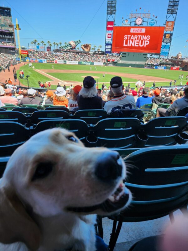 Mara is at a Giants baseball game and has turned around to smile at the camera.