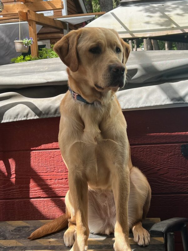 Kayla, is sitting in the backyard of her foster care provider's home. There is a red half wall that has a grey tarp on top.