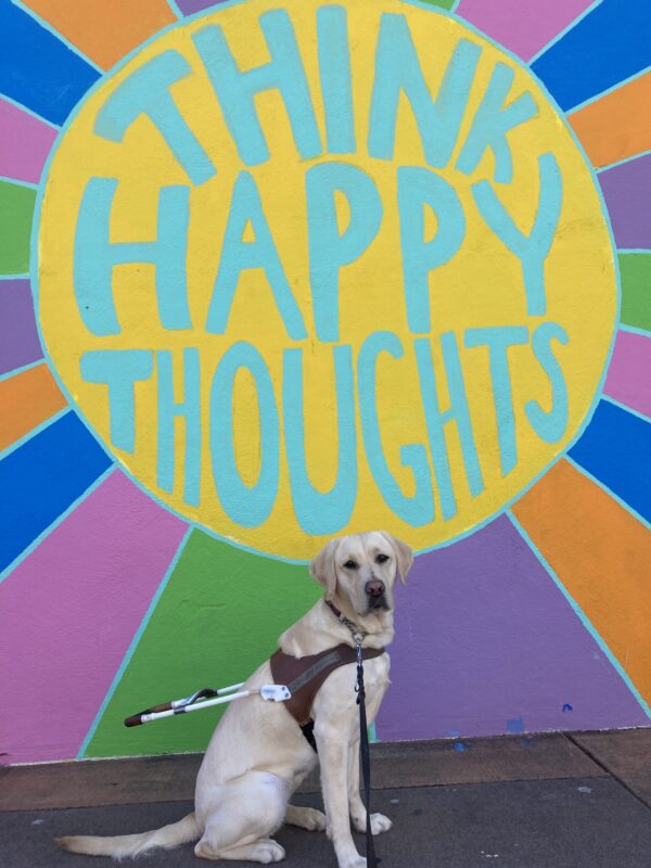 Emery sits in harness in front of a colorful mural that says “think happy thoughts”