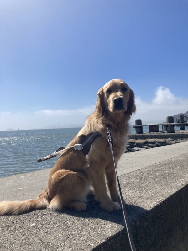Lager sits in harness in front of a view of the bay.