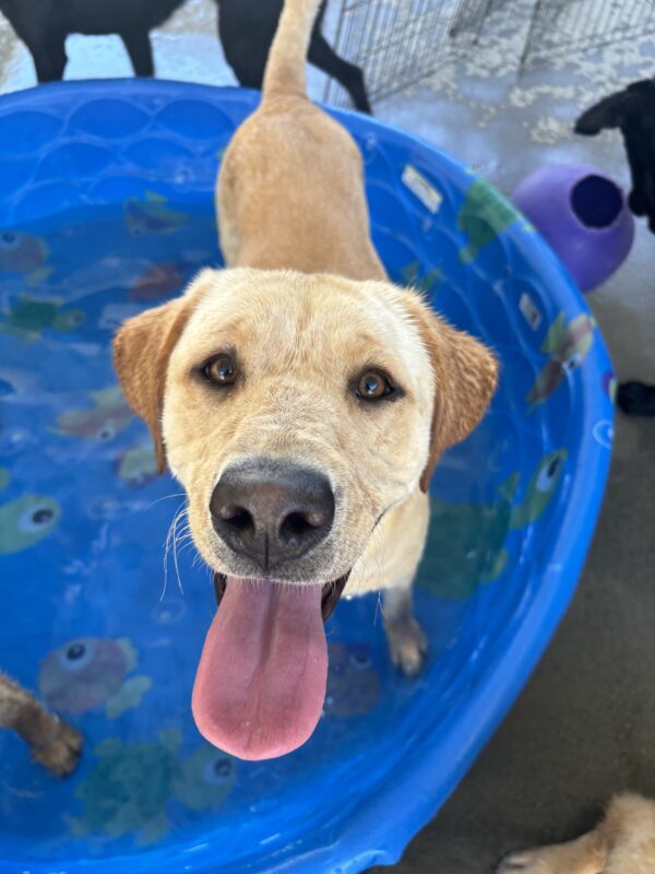 Marsha is standing in a shallow pool of water and smiling up at the camera.