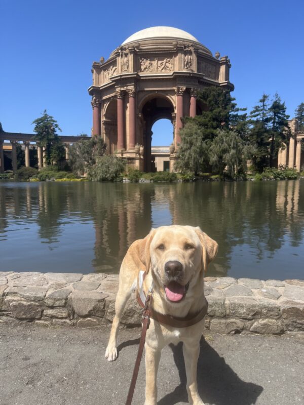Marsha is standing wearing a harness with a smile on her face. In the background is a pond and the Palace of Fine Arts in San Francisco.