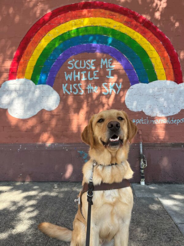 Becker is pictured sitting in harness in front of a large brick building with a mural on it. The mural includes a rainbow from two clouds and features the phrase: