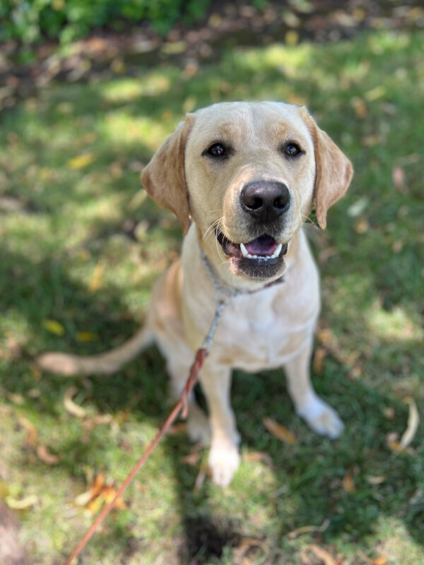 Gail sits smiling on the shady grass on campus