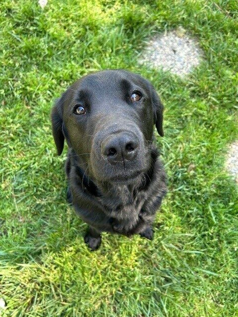 Tamsin sits in the grass looking up at the camera with a soft, sweet expression.