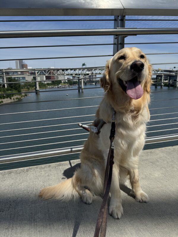 Gilmore sits in harness, smiling broadly at the camera. He is on a pedestrian bridge that spans the Willamette River; in the background are other bridges and buildings that line the river.