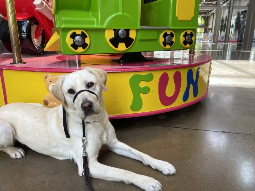 Apple lies on a concrete floor in front of a small children's carousel. The word
