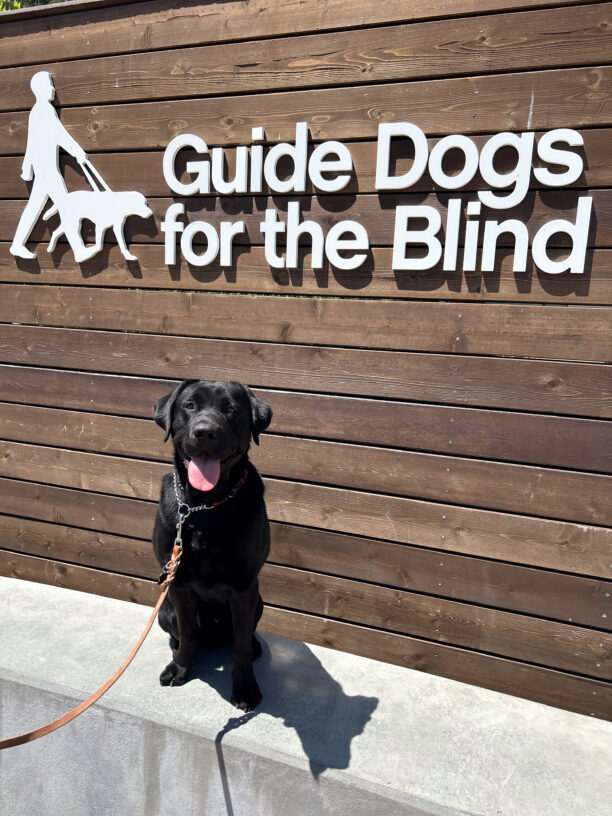 Bruce sits smiling in front of the wooden GDB sign on campus