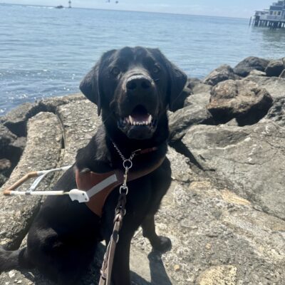 Alto is sitting in harness in front of the oceans rocky coastline. The very top of the San Francisco skyline can be seen off in the distance through a heavy fog line.