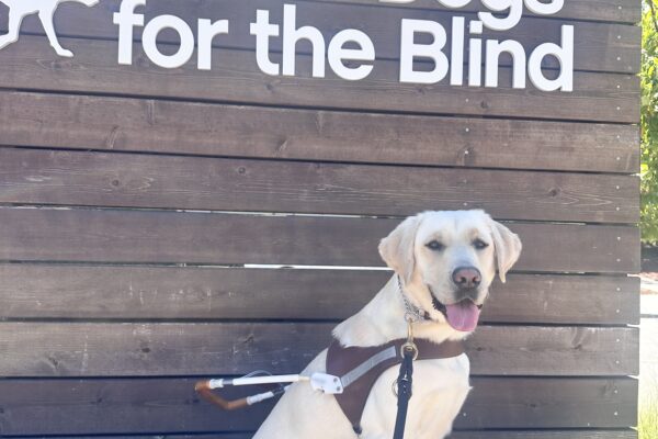 Laurie sitting in her harness below the Guide Dogs for the Blind sign.