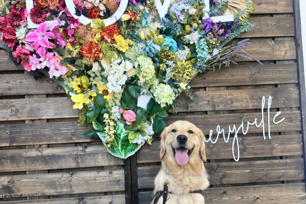 Mars sitting in his harness in front of a heart made up of colorful flowers with the word "LOVE" written in white across the heart.