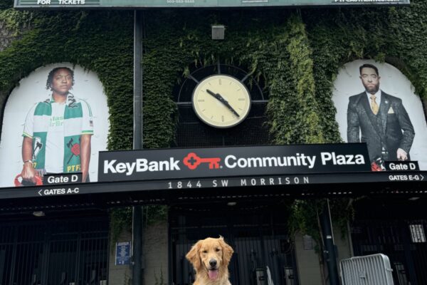 Tall yellow coated cross, Sal, sits in front of Providence Park. Behind him is a wall covered in greenery, a large clock, a sign that reads "Providence Park," and a letter board announcing the Portland Thorns and Portland Timbers soccer games.