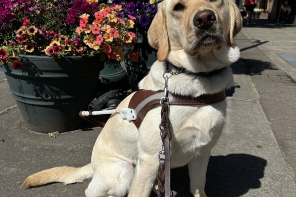 Fran sits in harness in front of a couple of planter pots filled with bright flowers of many colors.
