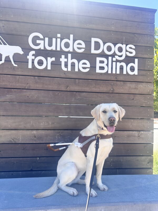 Laurie sitting in her harness below the Guide Dogs for the Blind sign.