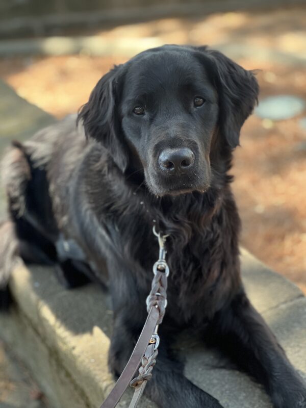 Neutrino relaxes on a bench.