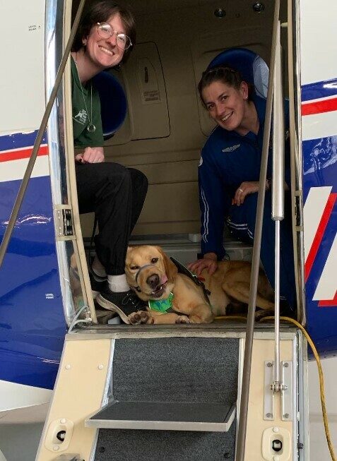 Yellow Lab Dorothy wears a green vest and headcollar as she rests her head against a trainers leg from inside a helicopter. Another person wearing blue pets Dorothy.