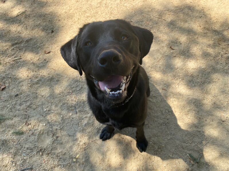 While in the play yard on the CA campus, Kearney is sitting and looking up at the camera with a big smile on his face.