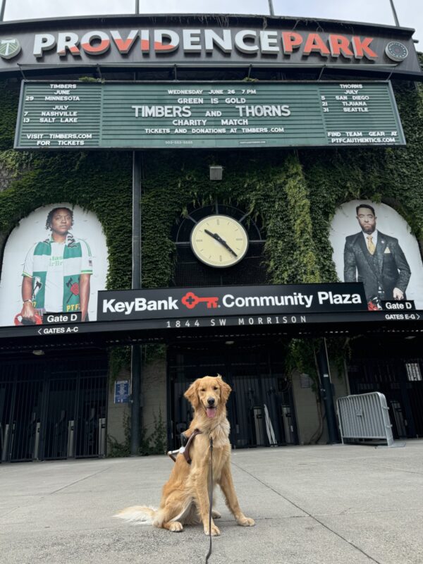 Tall yellow coated cross, Sal, sits in front of Providence Park. Behind him is a wall covered in greenery, a large clock, a sign that reads