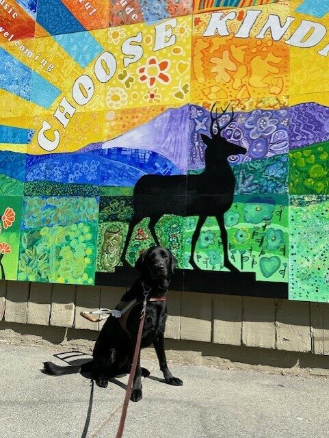 Tamsin is sitting in her harness facing the camera in front of a colorful mural that has the words 