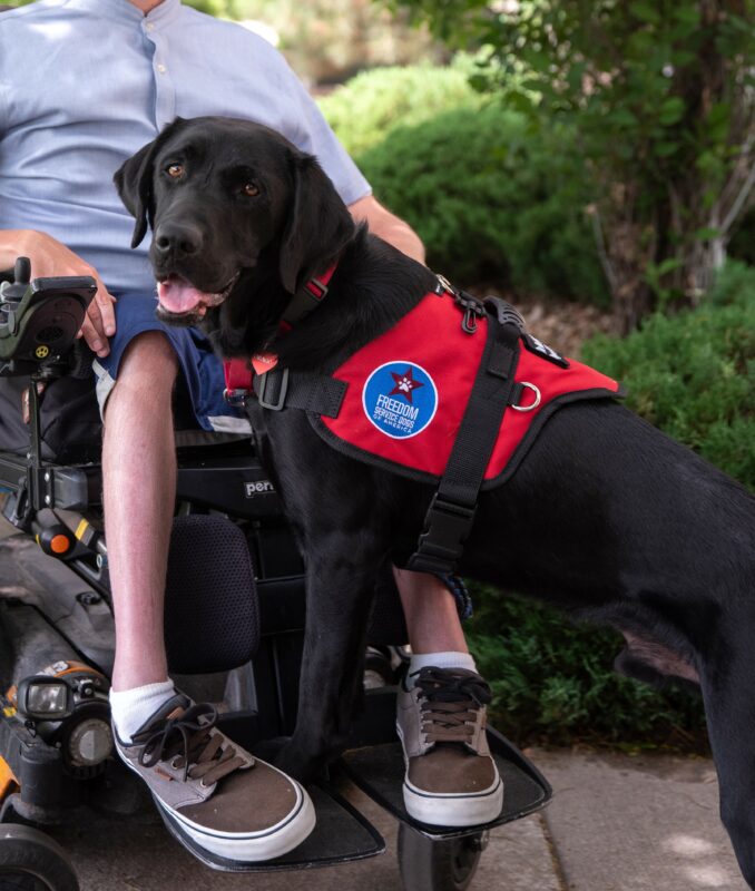 Black Lab Tobago standing in front of his handler with his front feet propped up on the foot plate of a wheelchair. He's wearing his red service dog vest.