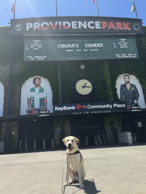 Yellow lab, Willie, sits in front of Providence Park. Behind him is a wall covered in greenery, a large clock, a sign that reads