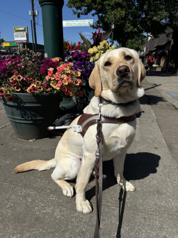 Fran sits in harness in front of a couple of planter pots filled with bright flowers of many colors.