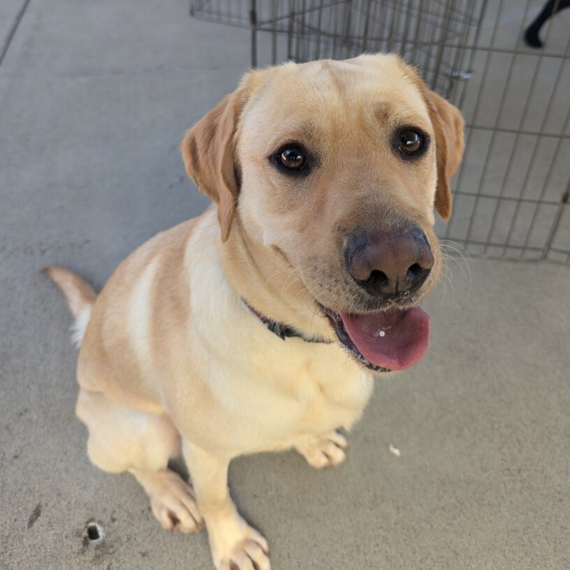 Nikita sits community run looking directly at the camera. Her mouth is open and her tongue is slightly out with a big smile.