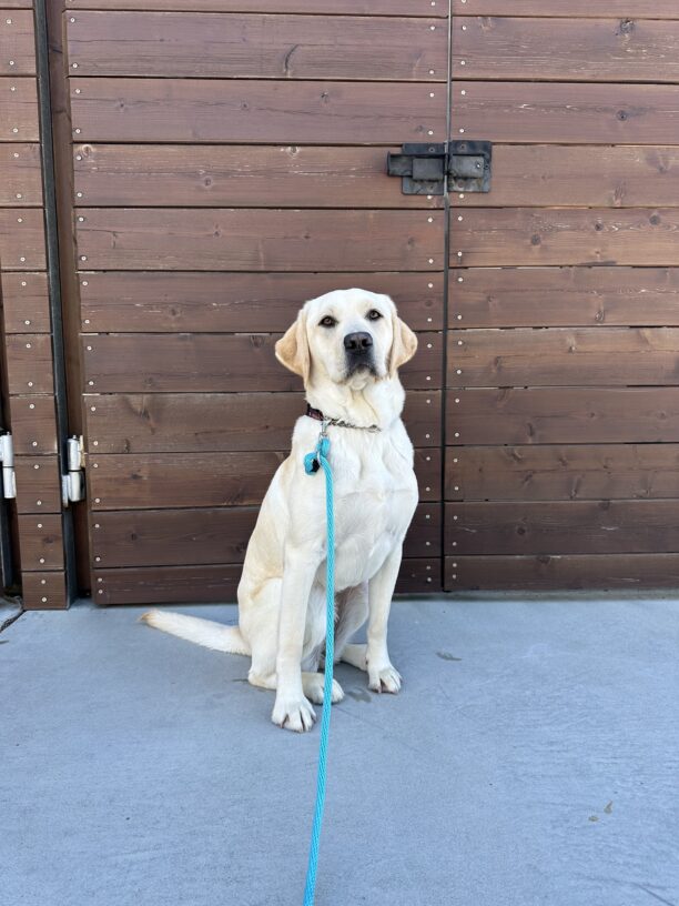 Rhonda sits in front of a wooden door on the California campus. She is looking at the camera.